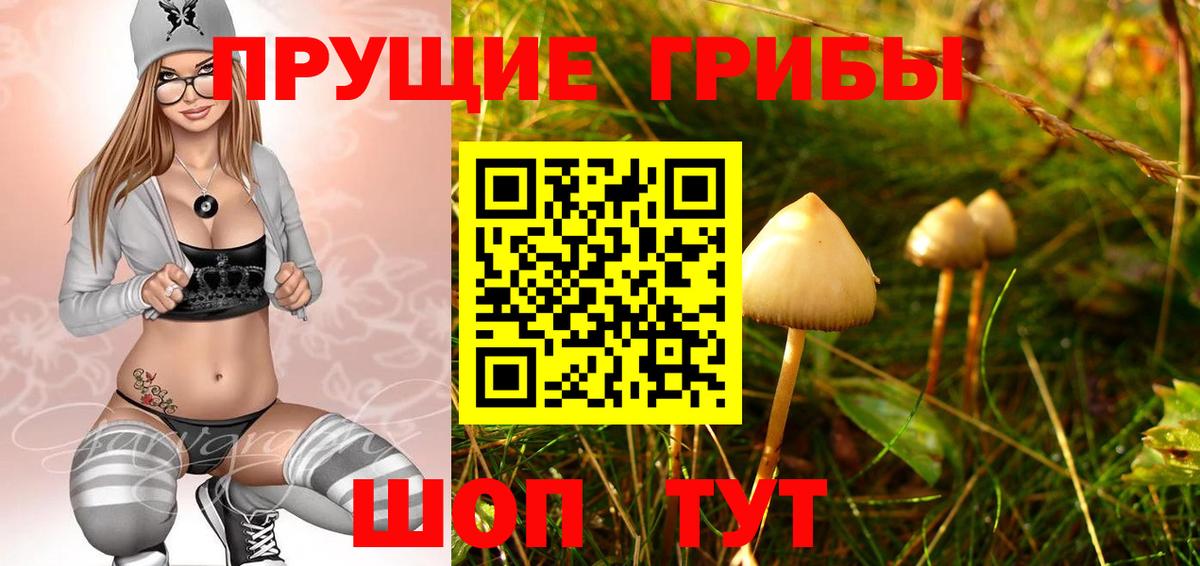 Галлюциногенные грибы прущие грибы  Вход с VPN  Елабуга  Галлюциногенные грибы мухоморы 